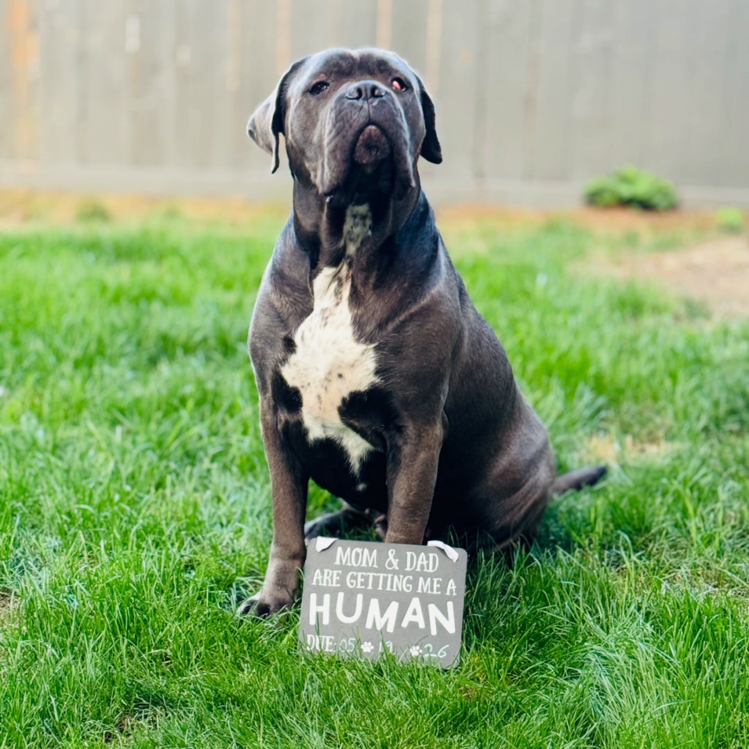 Photo shared by Horacio for their Babylist baby registry.