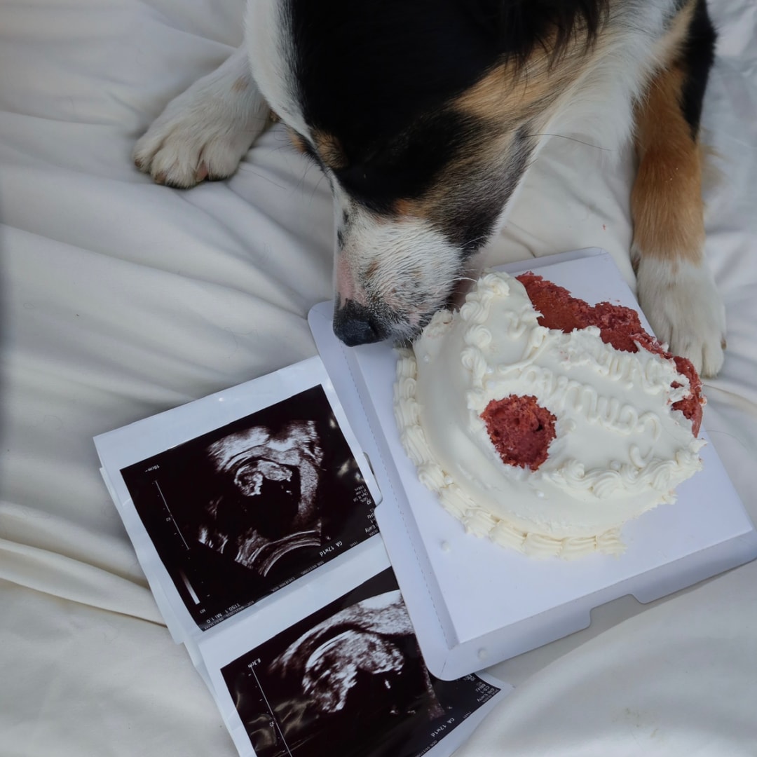 Photo shared by David for their Babylist baby registry.