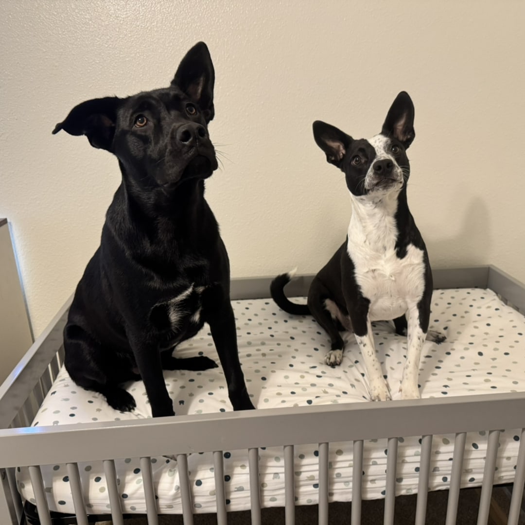 Photo shared by Angela for their Babylist baby registry.