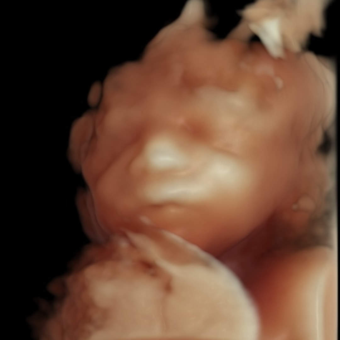 Photo shared by Stephanie for their Babylist baby registry.