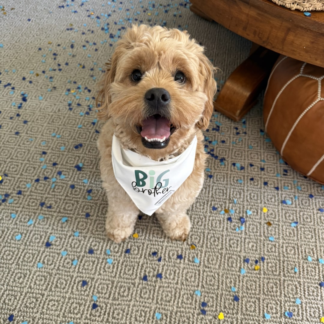 Photo shared by Abby for their Babylist baby registry.