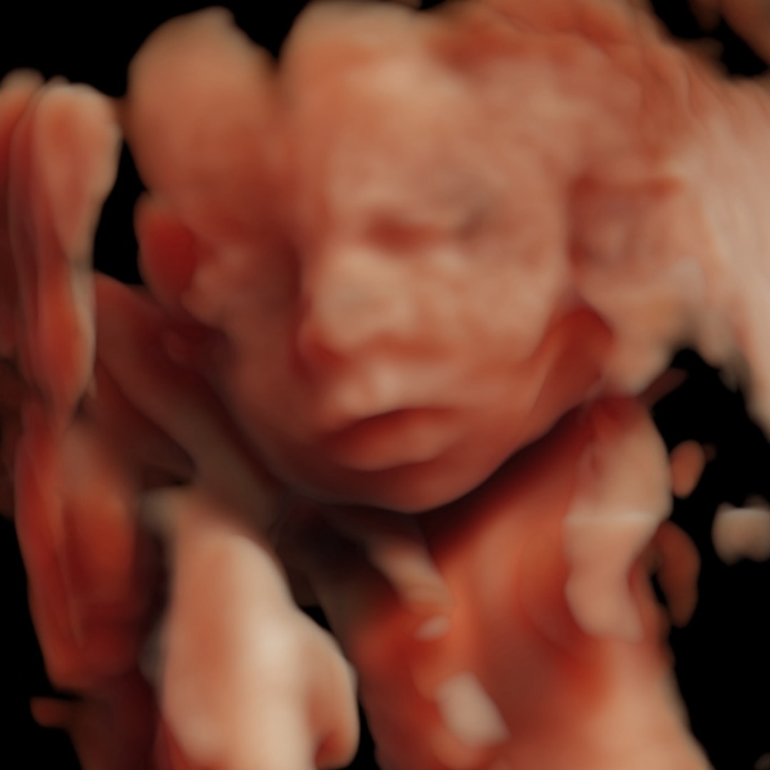 Photo shared by Jamie for their Babylist baby registry.