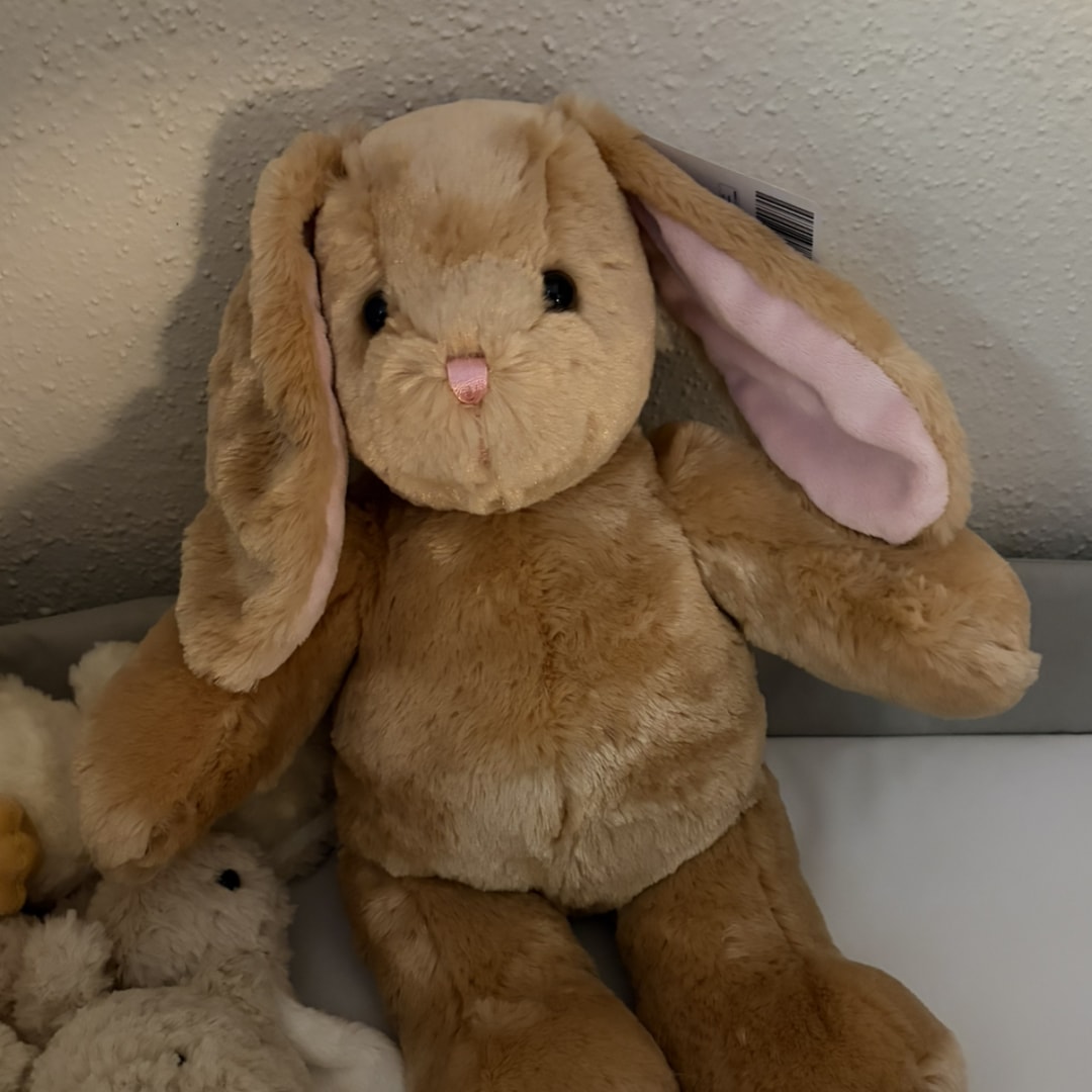 Photo shared by Abigail for their Babylist baby registry.
