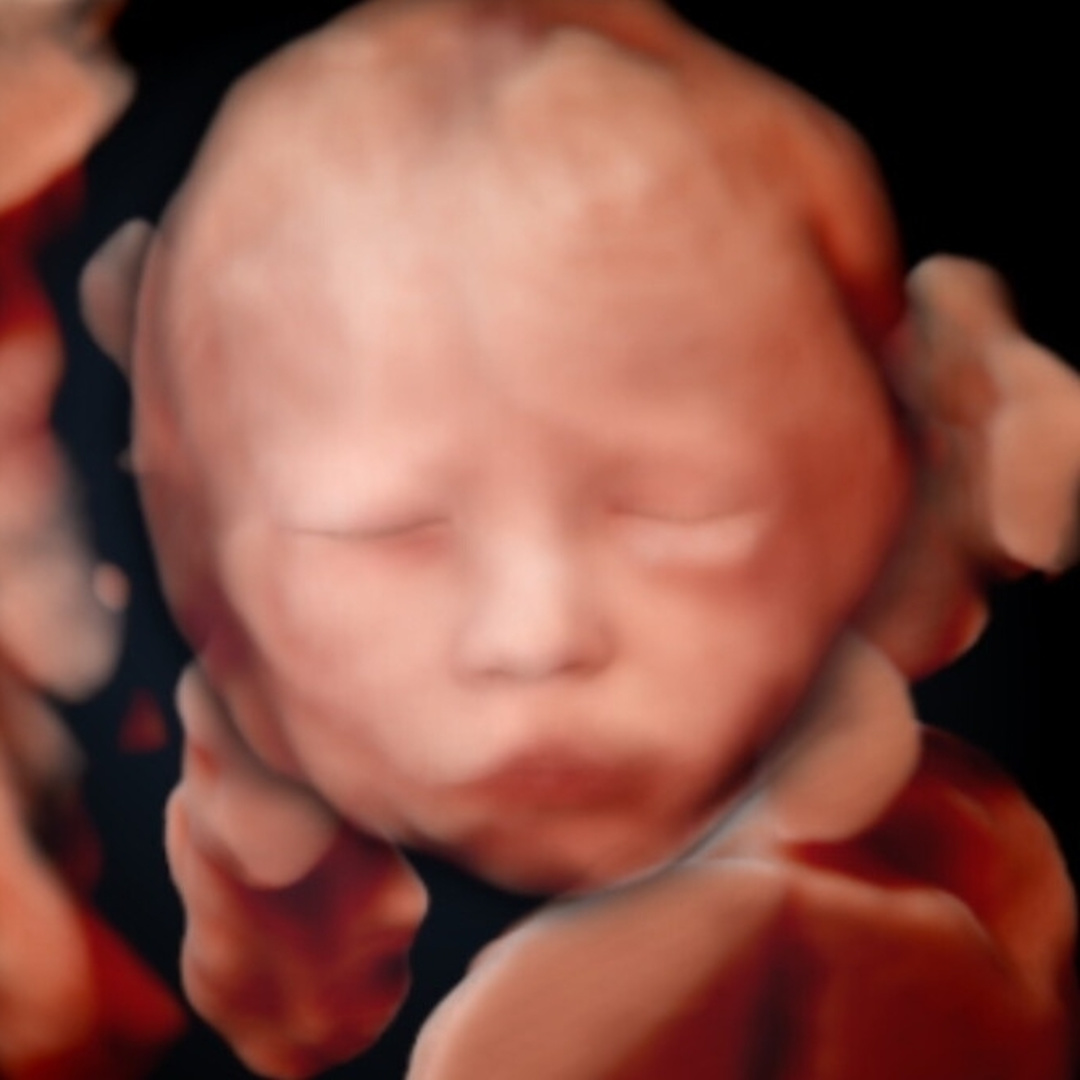 Photo shared by Cassie for their Babylist baby registry.