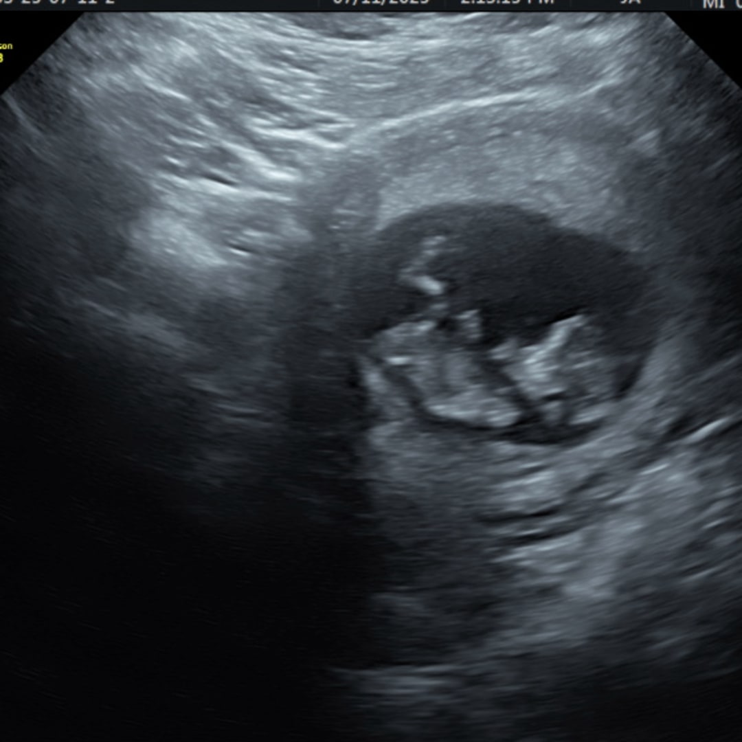 Photo shared by Alondra for their Babylist baby registry.