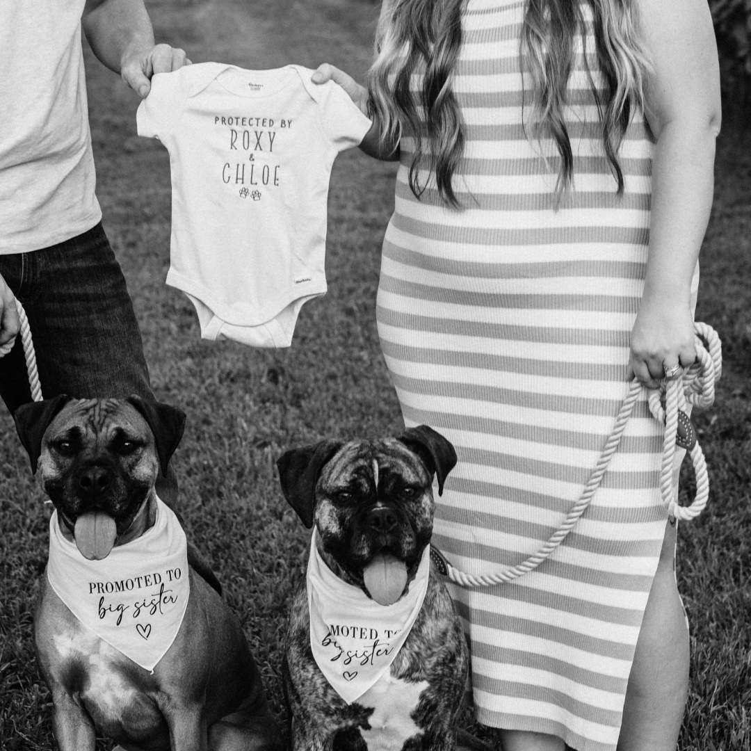 Photo shared by Crystal for their Babylist baby registry.