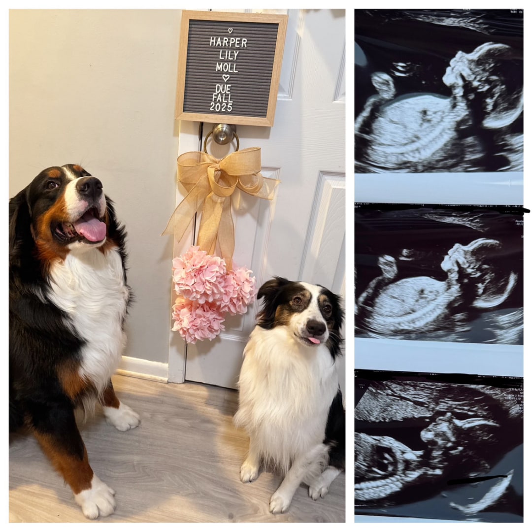 Photo shared by Alexa for their Babylist baby registry.