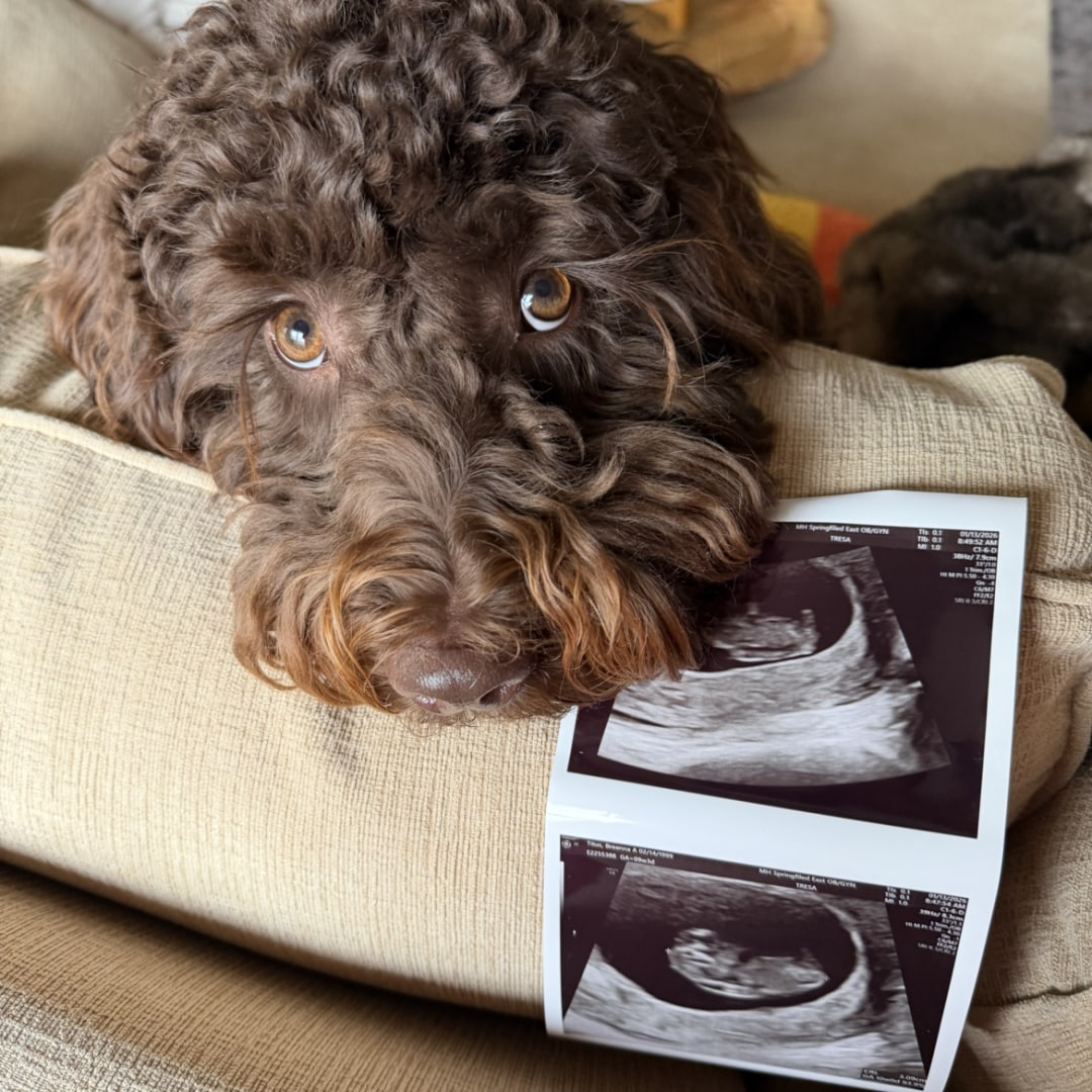 Photo shared by Breanna for their Babylist baby registry.