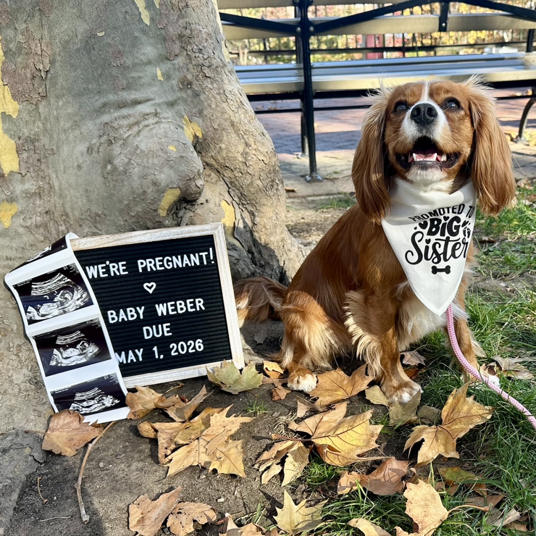 Photo shared by Jen for their Babylist baby registry.