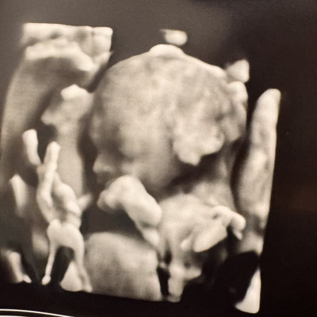 Photo shared by Courtney for their Babylist baby registry.