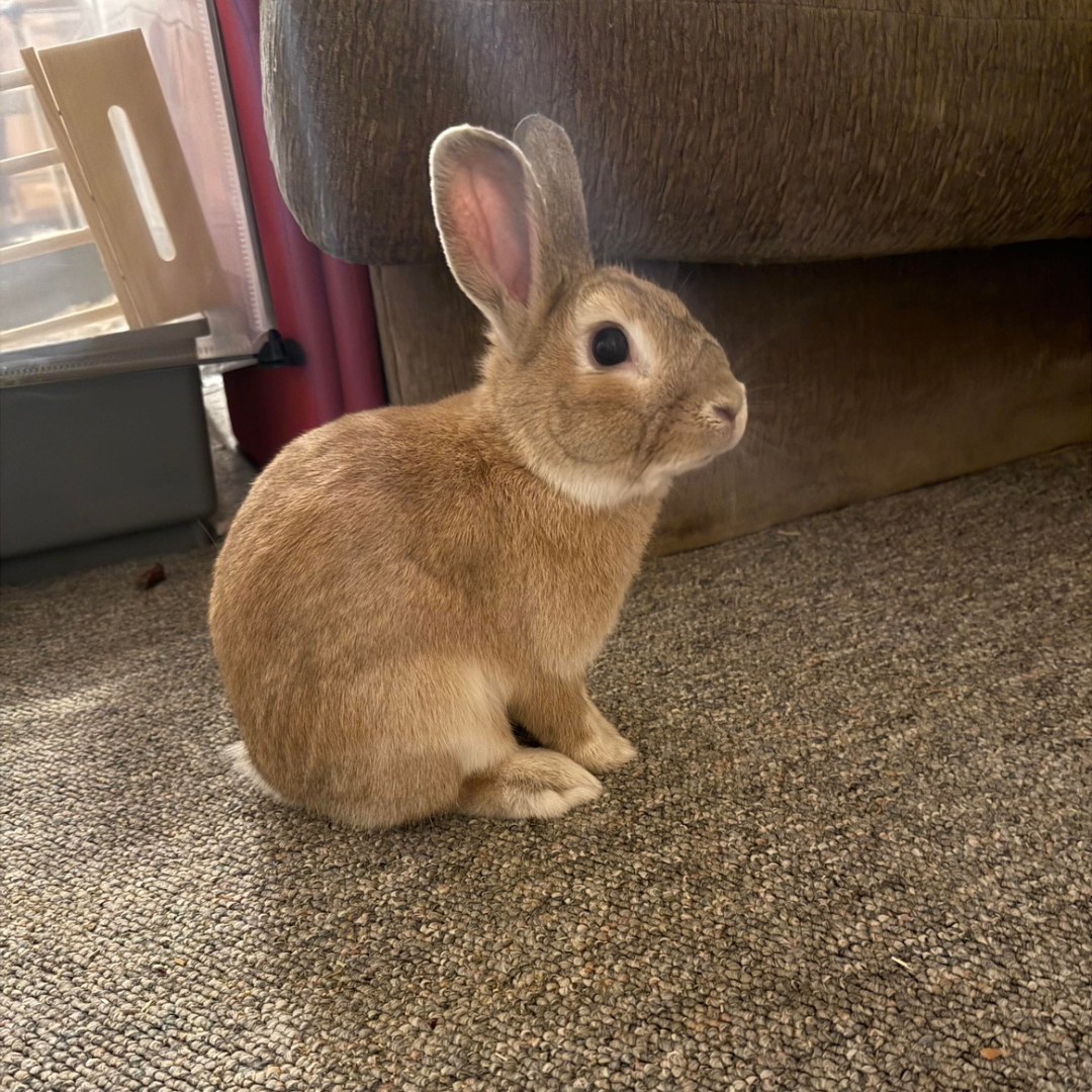 Photo shared by Sabina for their Babylist baby registry.