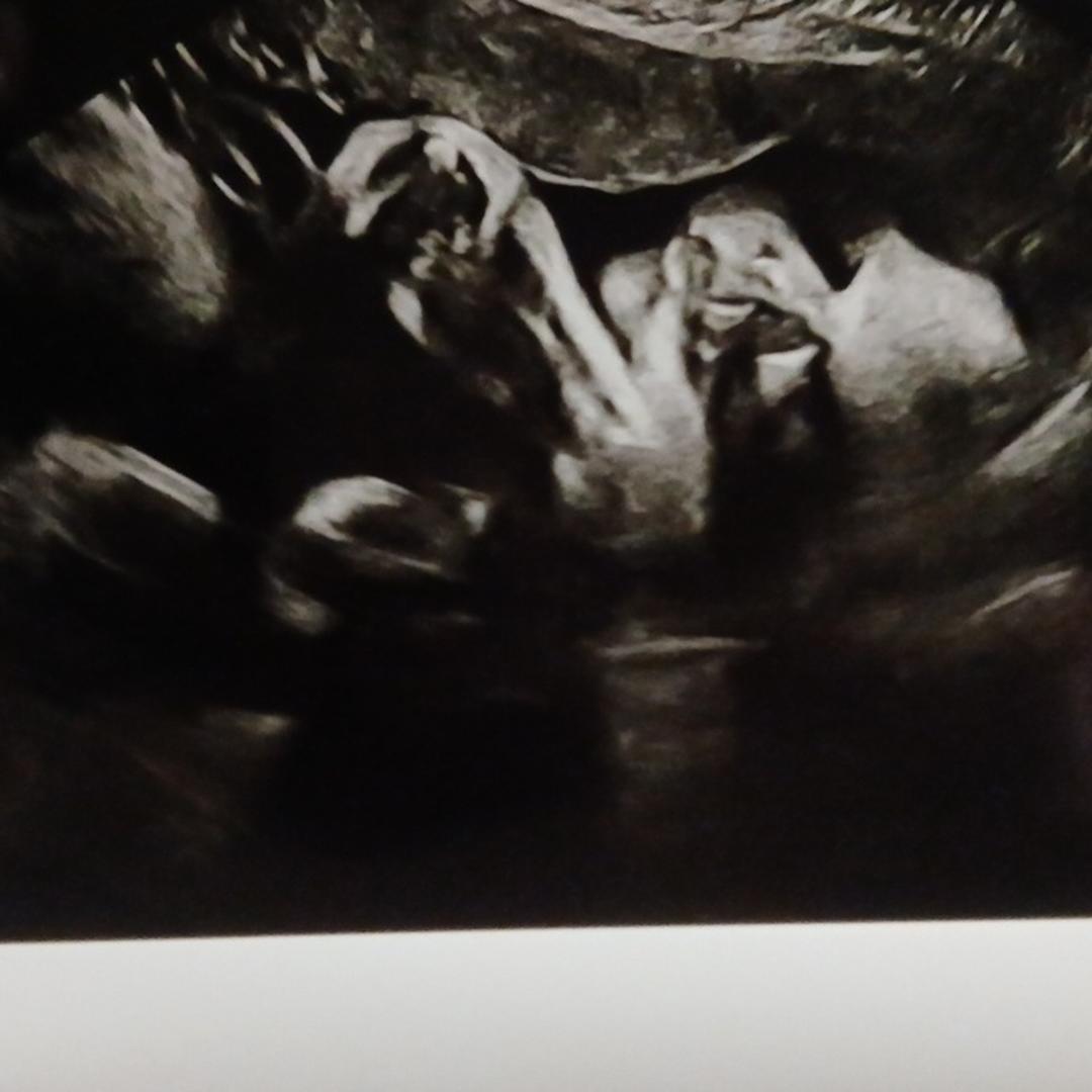 Photo shared by Jennifer for their Babylist baby registry.