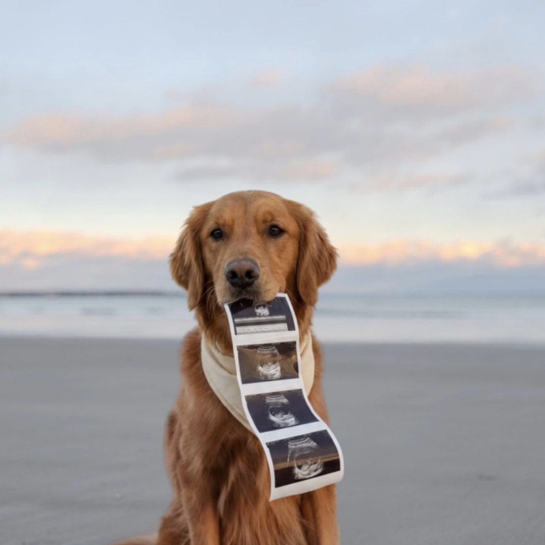 Photo shared by Hillary for their Babylist baby registry.