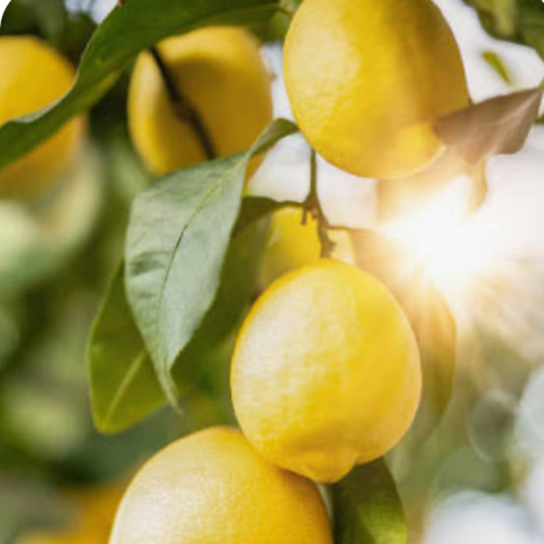 Photo shared by Adrienne for their Babylist baby registry.