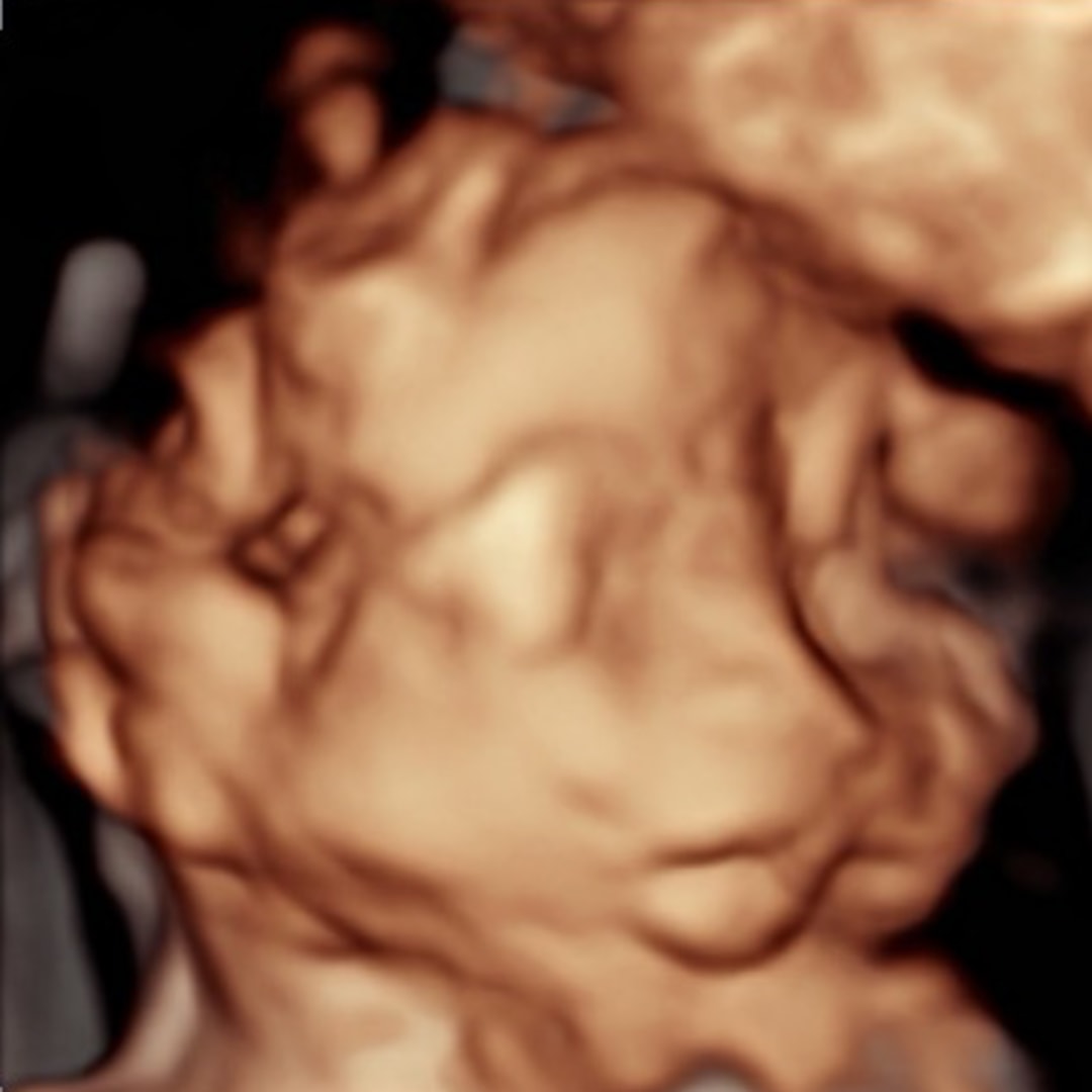 Photo shared by Fatima & Francisco for their Babylist baby registry.