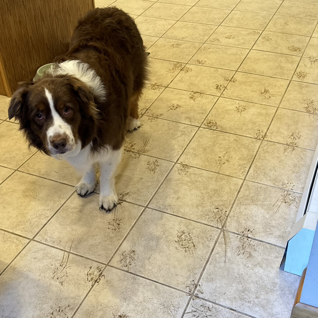 Photo shared by Emily for their Babylist baby registry.