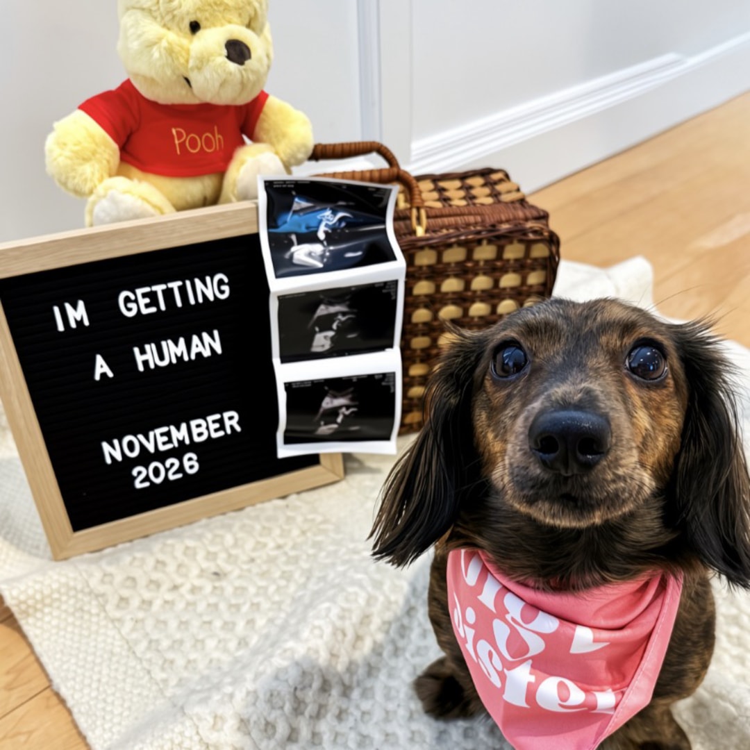 Photo shared by Bethany for their Babylist baby registry.