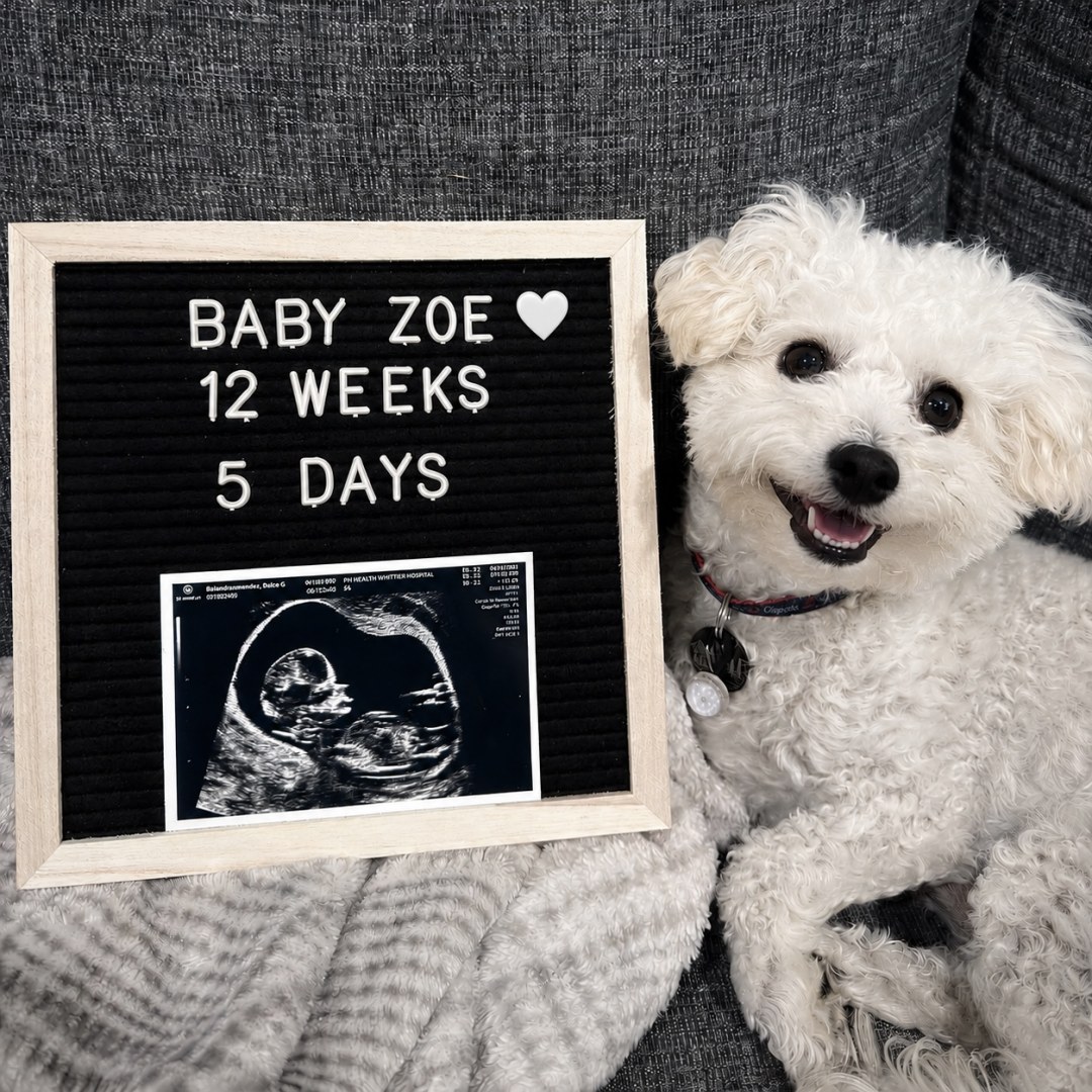 Photo shared by Dulce for their Babylist baby registry.