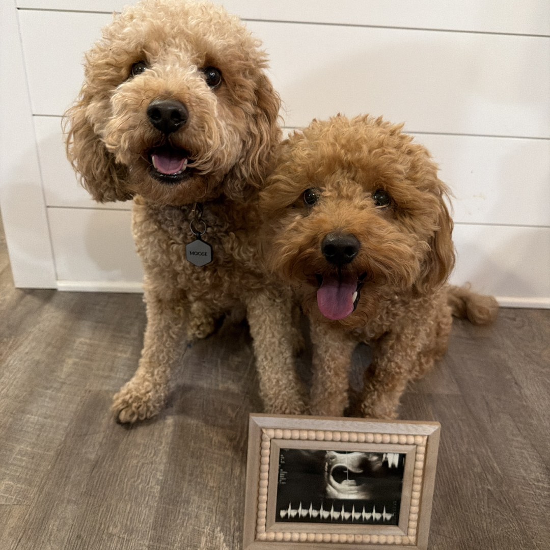 Photo shared by Abby for their Babylist baby registry.