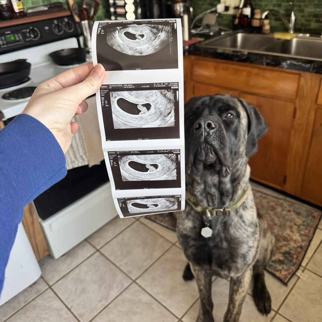 Photo shared by Grace for their Babylist baby registry.