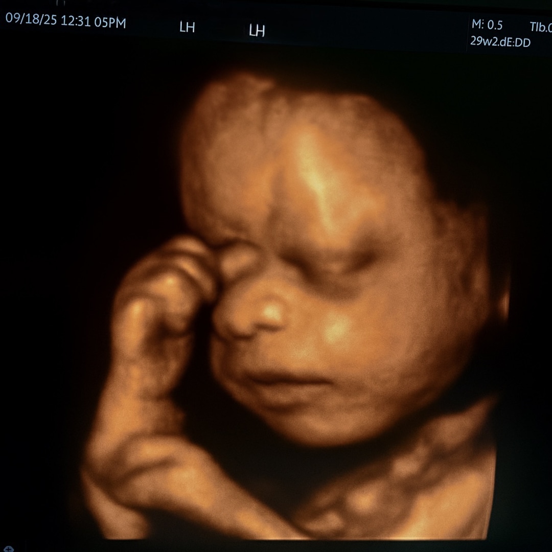 Photo shared by Amanda for their Babylist baby registry.
