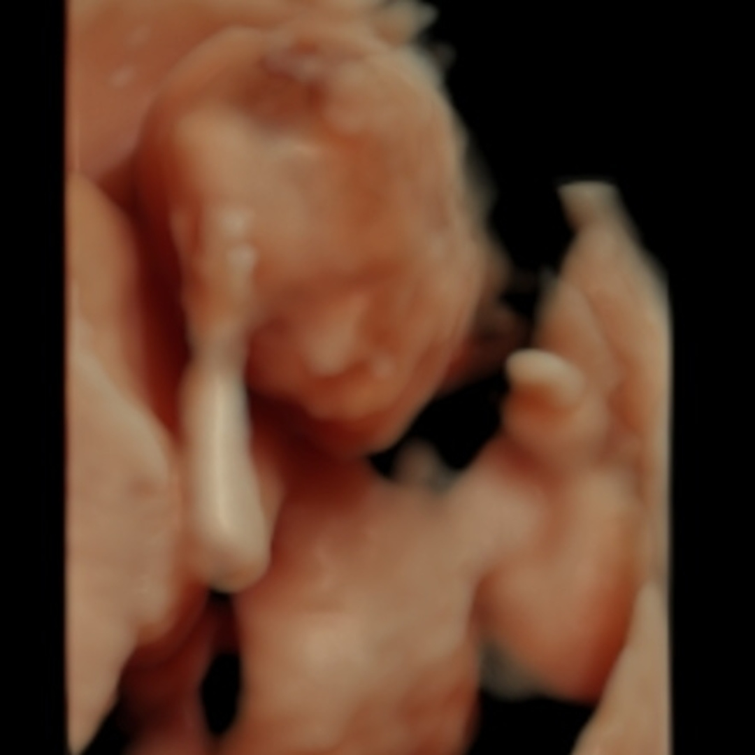 Photo shared by Andi for their Babylist baby registry.