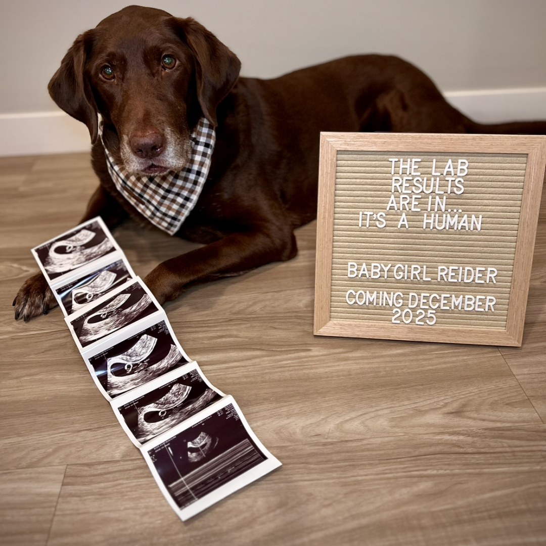 Photo shared by Ashley for their Babylist baby registry.