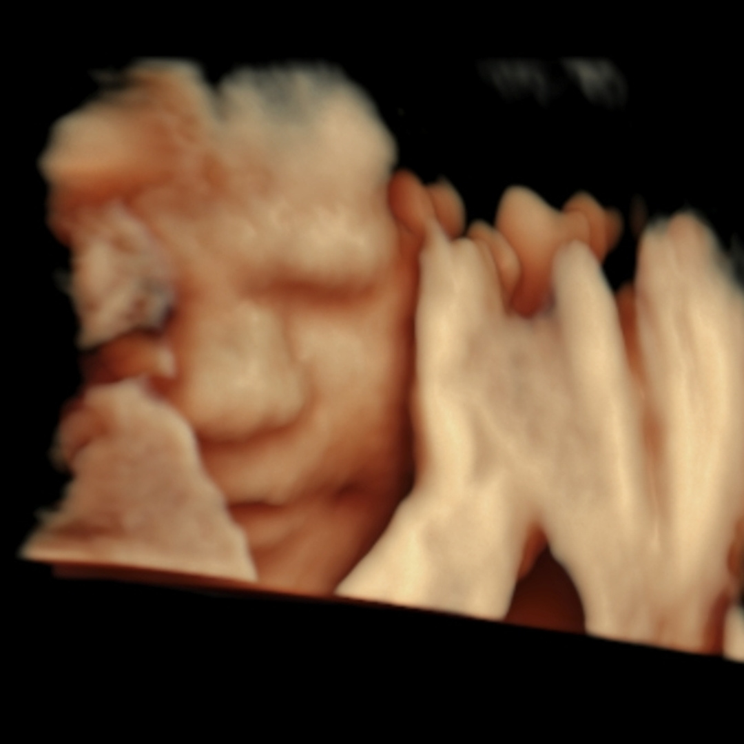 Photo shared by Natalie for their Babylist baby registry.