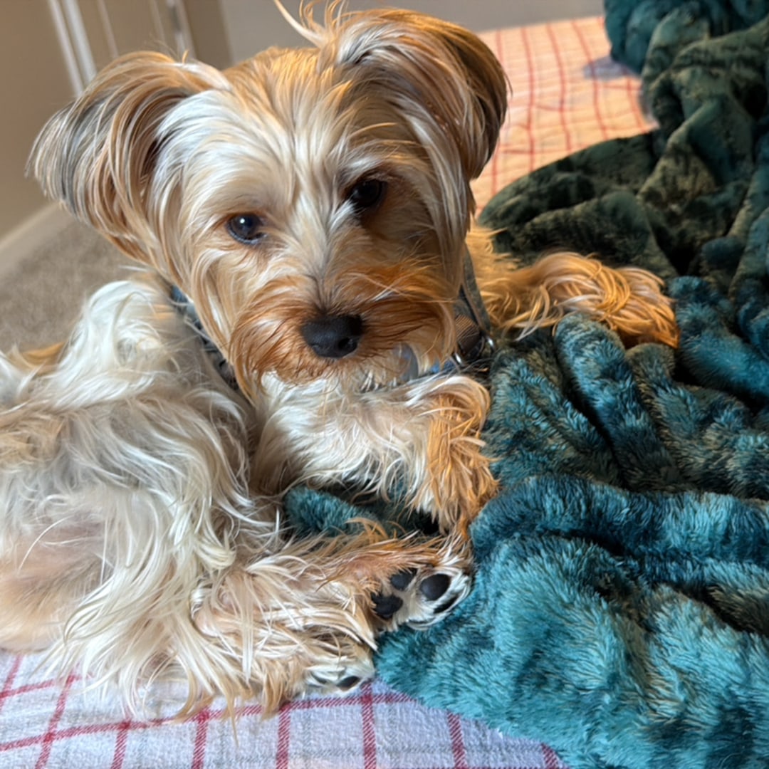 Photo shared by Celeste for their Babylist baby registry.