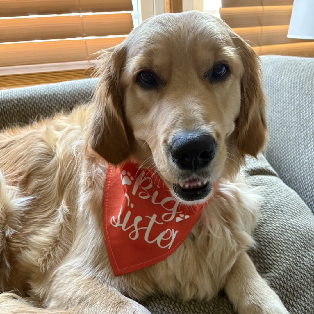 Photo shared by Bri for their Babylist baby registry.