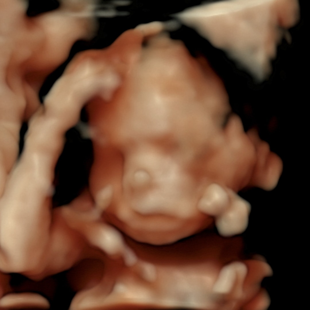 Photo shared by Samantha for their Babylist baby registry.