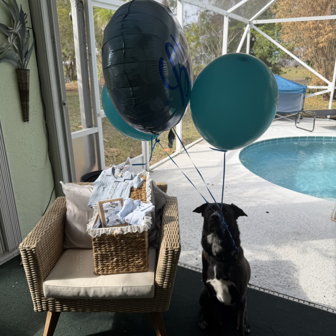 Photo shared by Jamie for their Babylist baby registry.