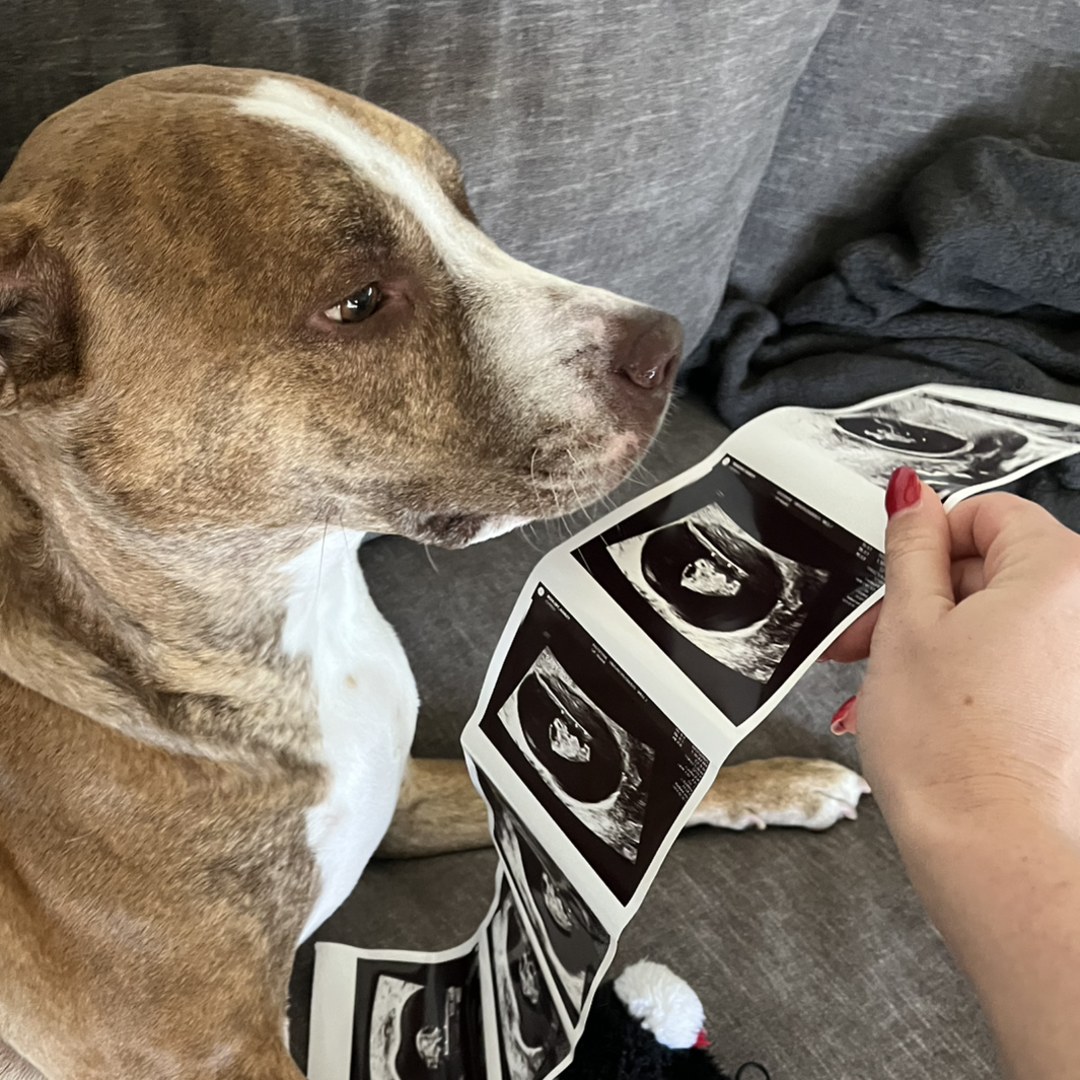 Photo shared by Ashley for their Babylist baby registry.