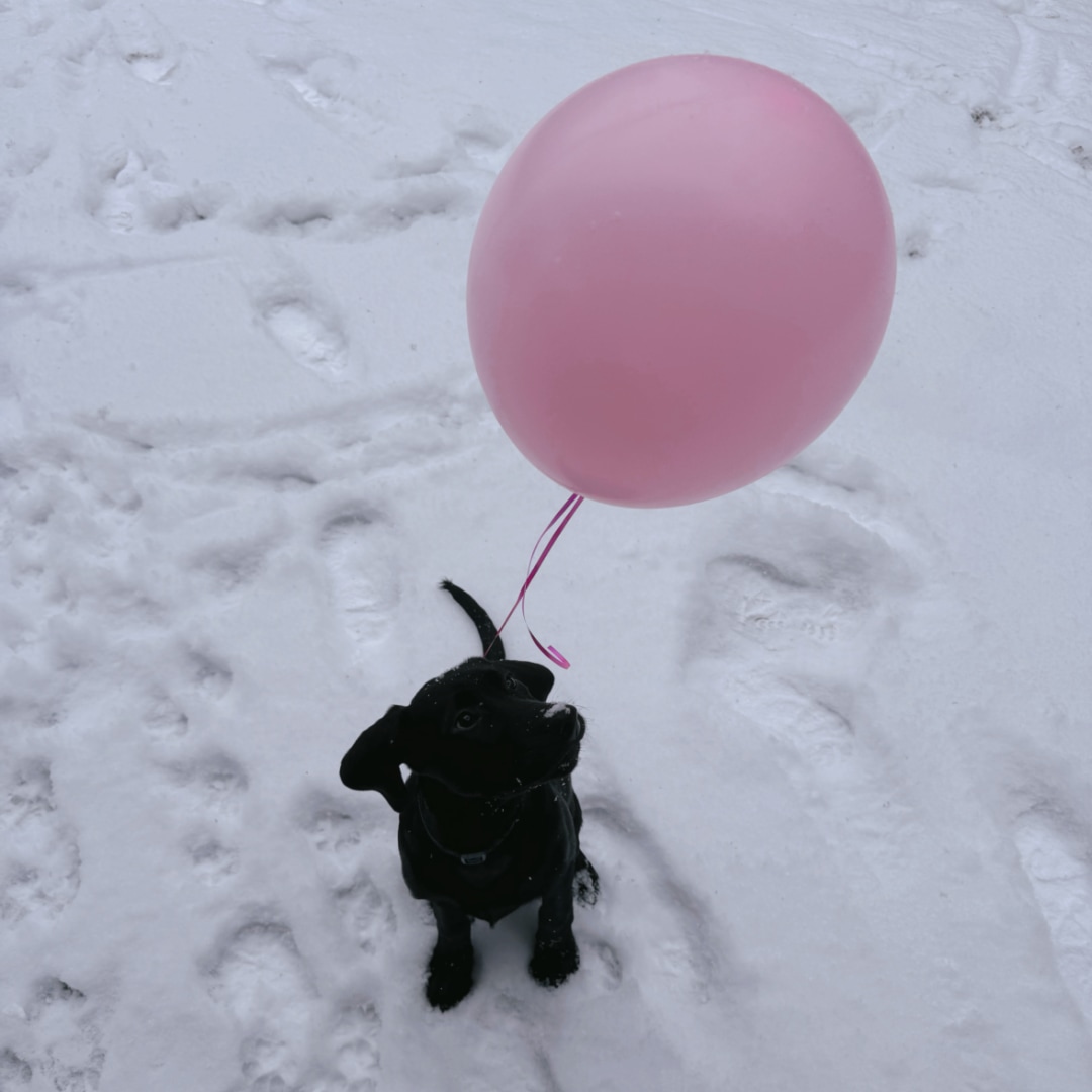 Photo shared by Alexandra for their Babylist baby registry.