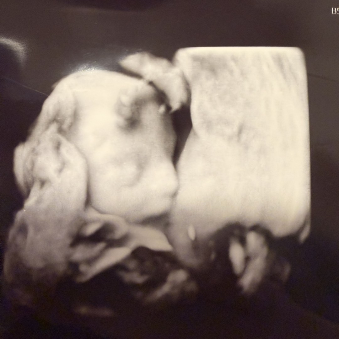 Photo shared by Liz for their Babylist baby registry.