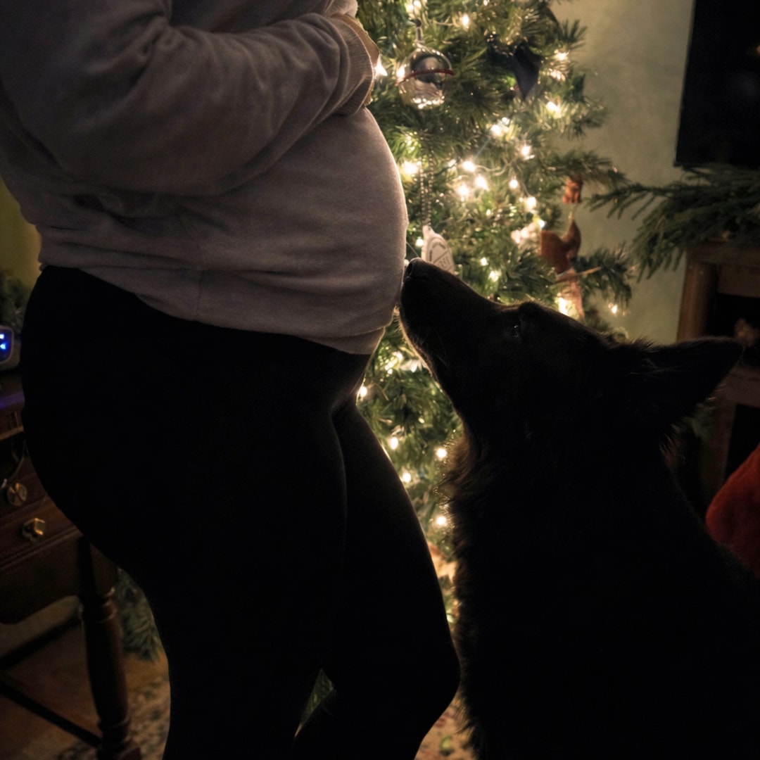 Photo shared by Jessica for their Babylist baby registry.