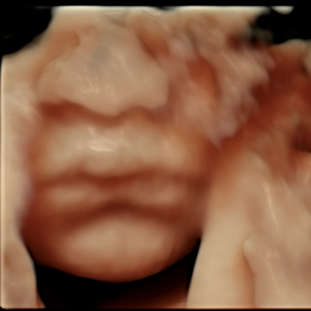 Photo shared by Cassandra for their Babylist baby registry.