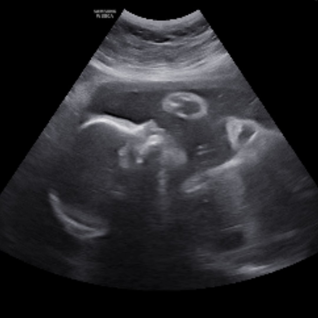 Photo shared by Jewel for their Babylist baby registry.