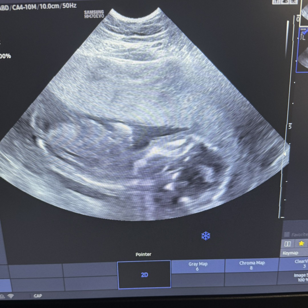 Photo shared by Haley for their Babylist baby registry.