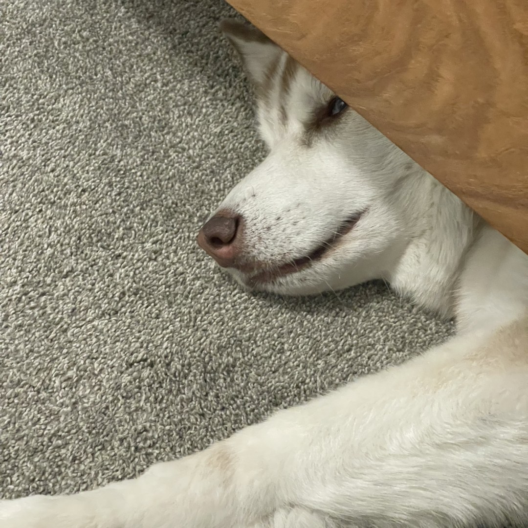 Photo shared by Iana & Deniel for their Babylist baby registry.