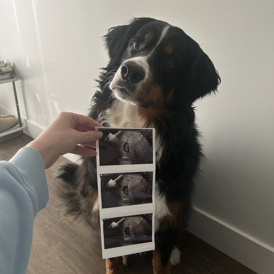 Photo shared by Haley for their Babylist baby registry.