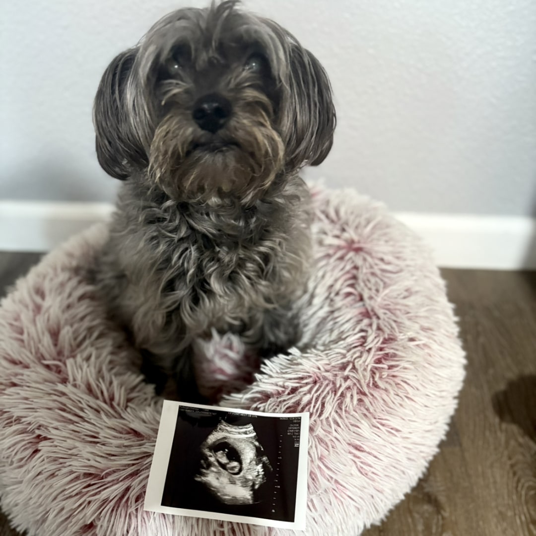 Photo shared by Chelsea for their Babylist baby registry.
