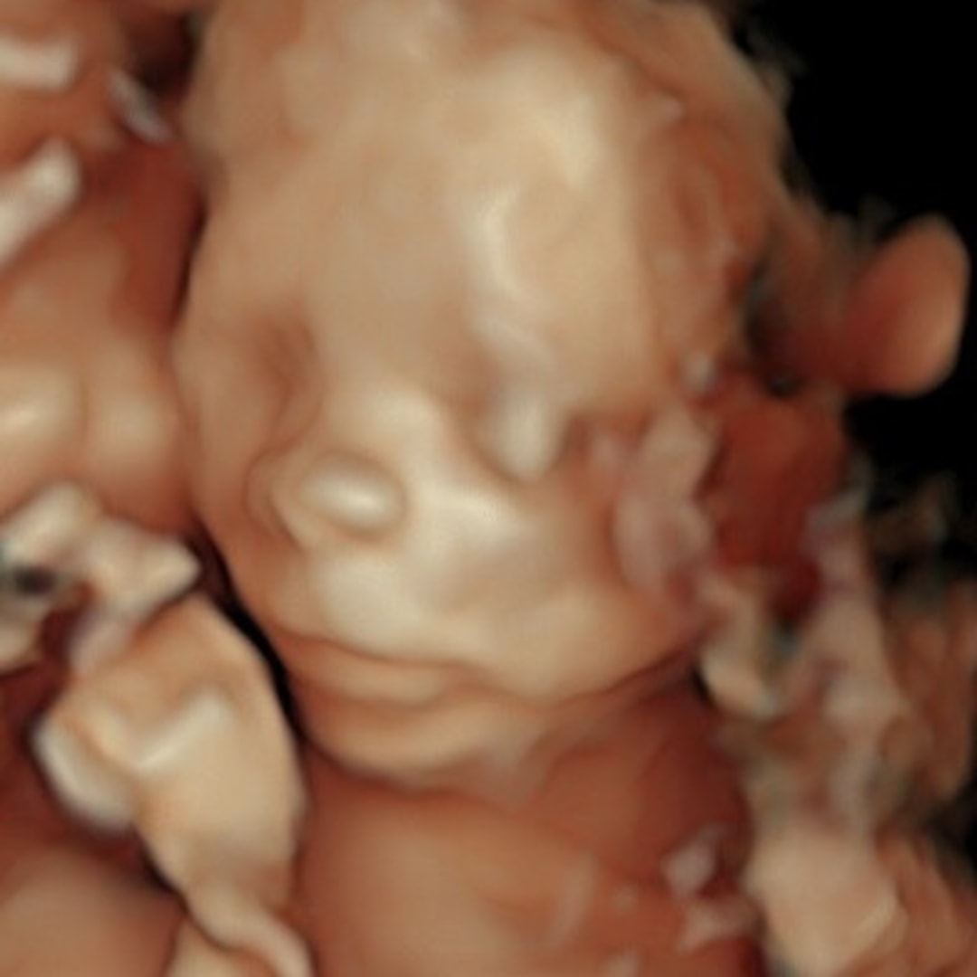 Photo shared by Erin for their Babylist baby registry.