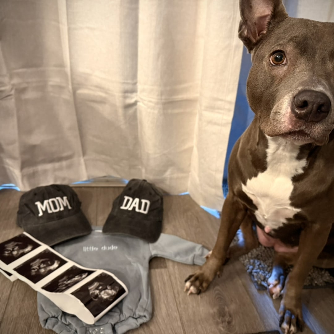 Photo shared by Celya for their Babylist baby registry.