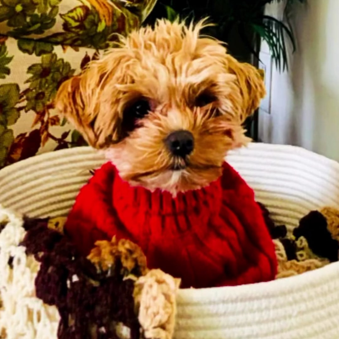 Photo shared by Andrea for their Babylist baby registry.