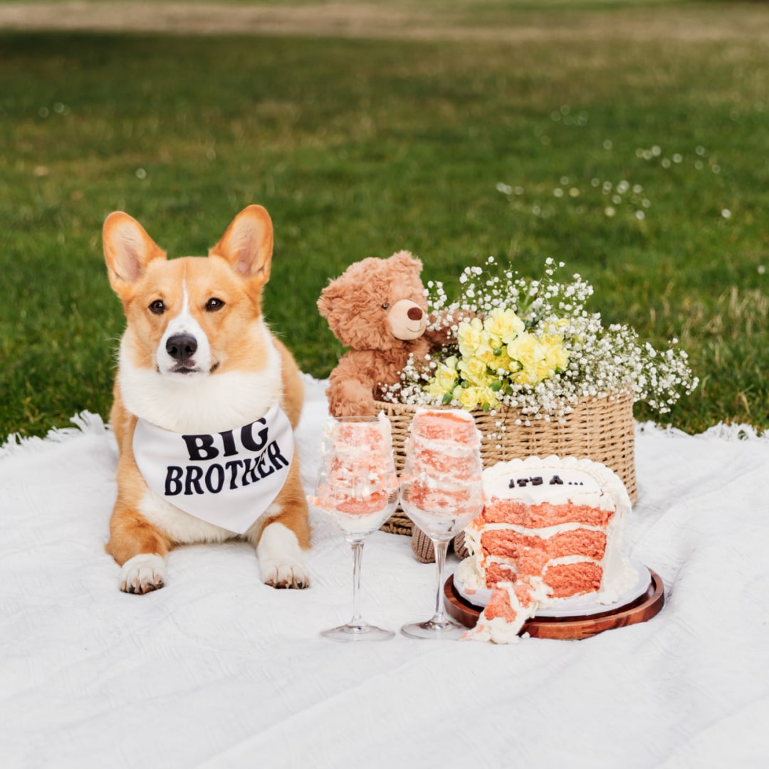 Photo shared by Luisa for their Babylist baby registry.