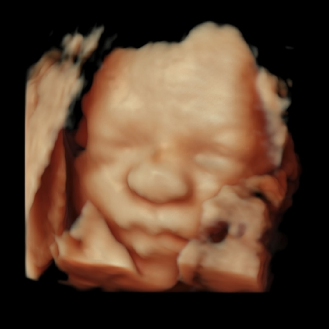 Photo shared by Elleanna for their Babylist baby registry.