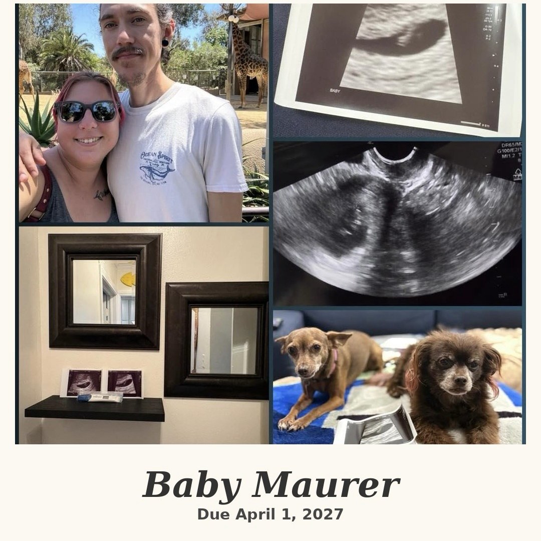 Photo shared by Chelsey for their Babylist baby registry.