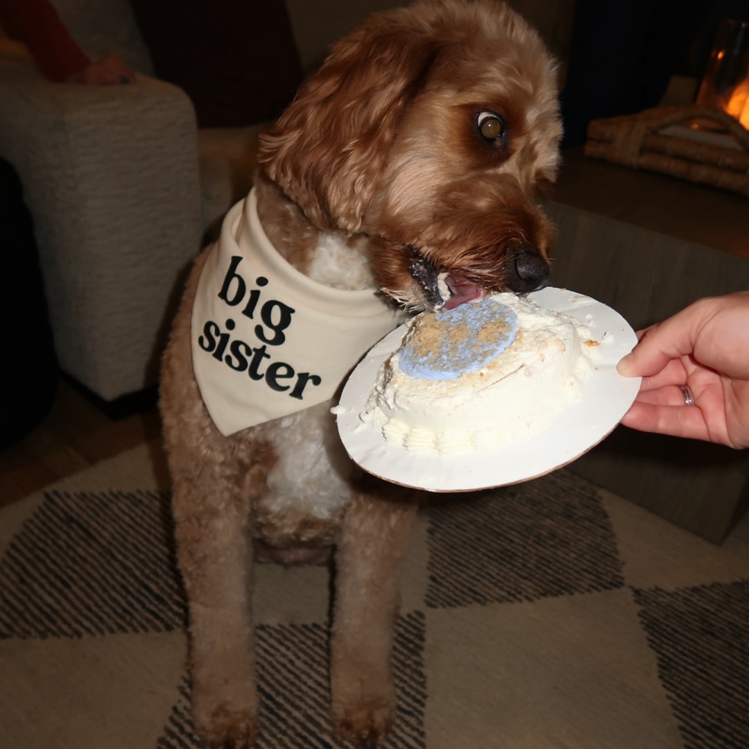 Photo shared by Alexis for their Babylist baby registry.