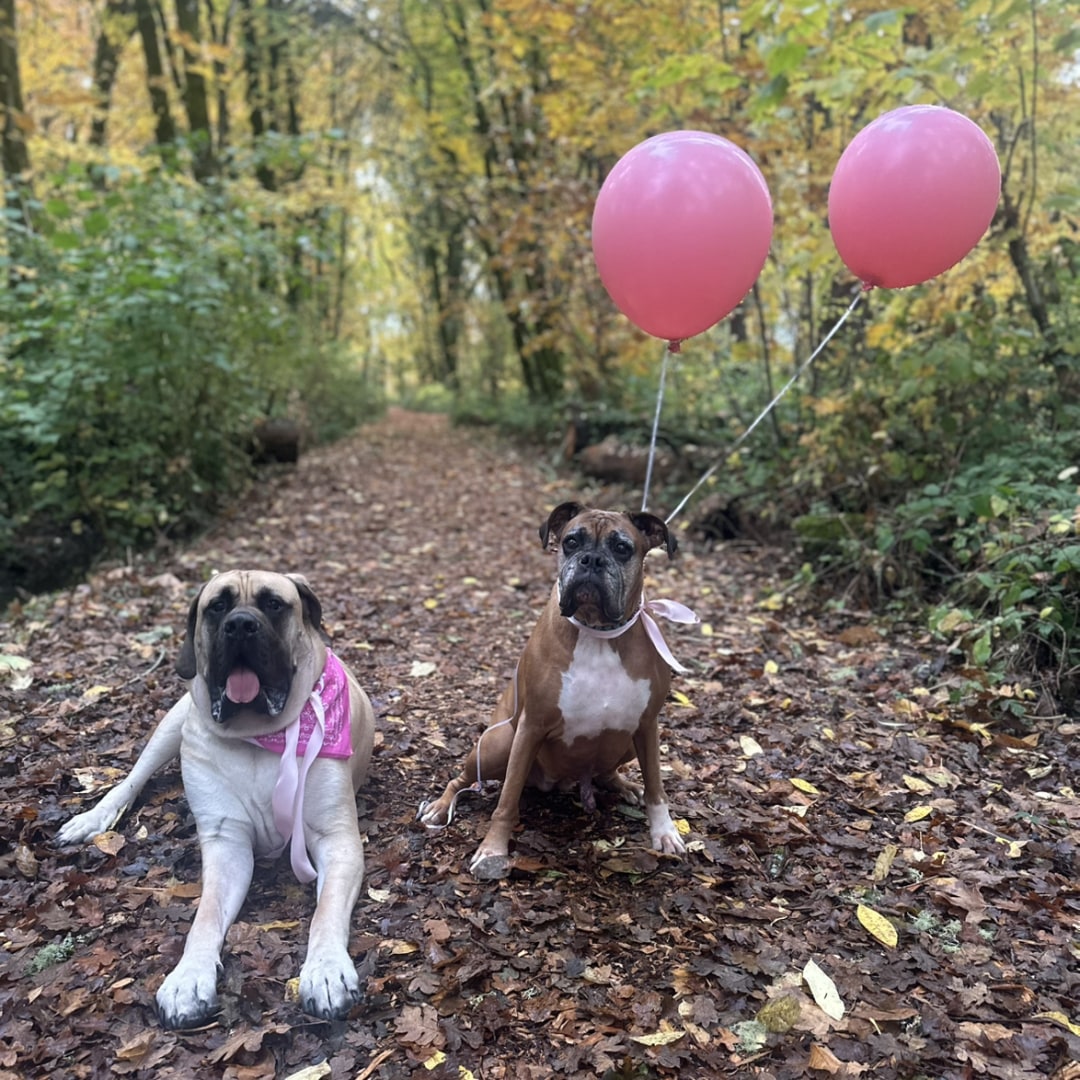 Photo shared by Anna for their Babylist baby registry.